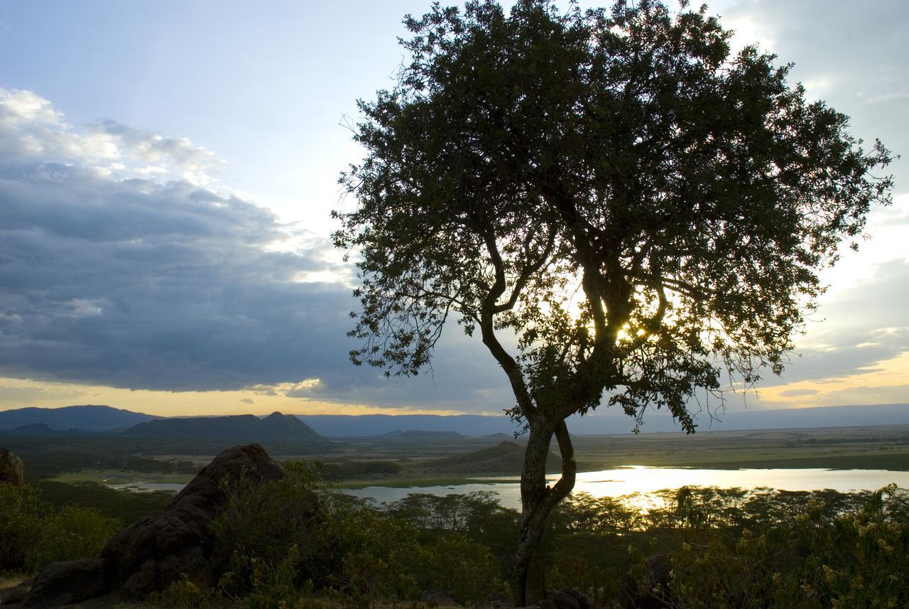 Jacaranda Lake Elementaita Lodge Gilgil Exterior photo